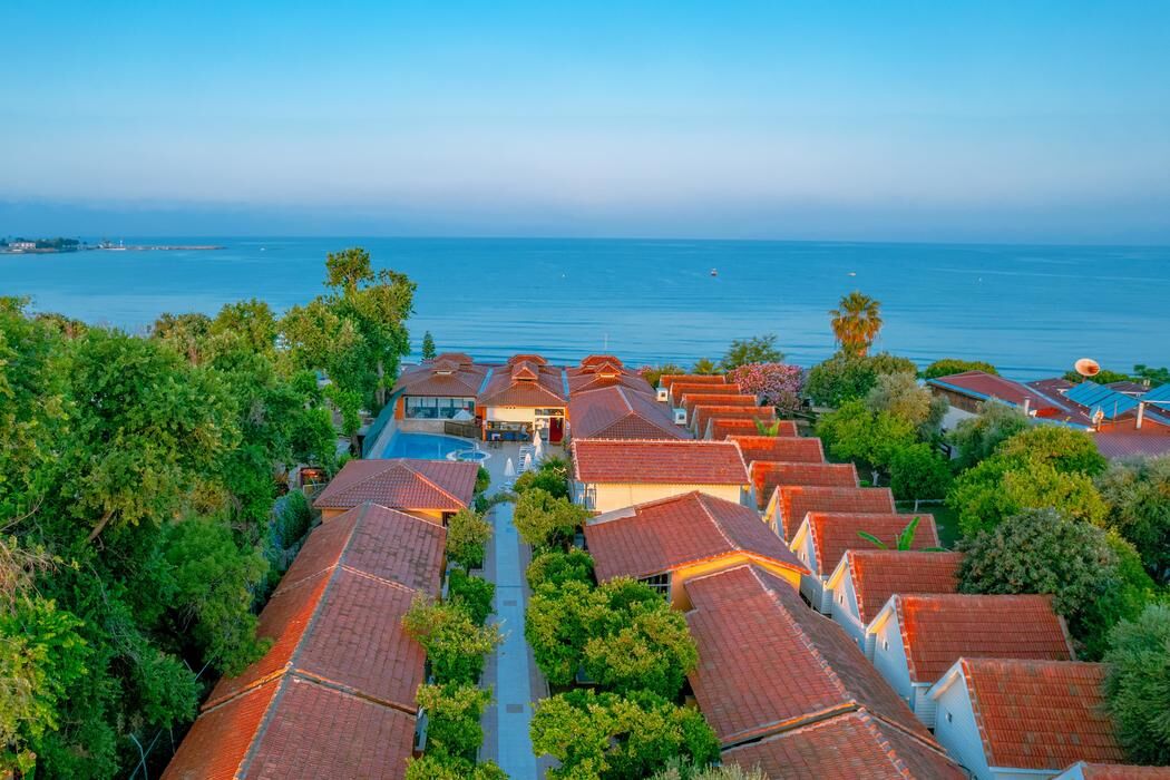 Özlem Garden