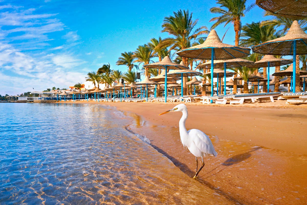 Promosyon İstanbul Hareketli Ajet İle Hurghada Turu 3 Gece (226)