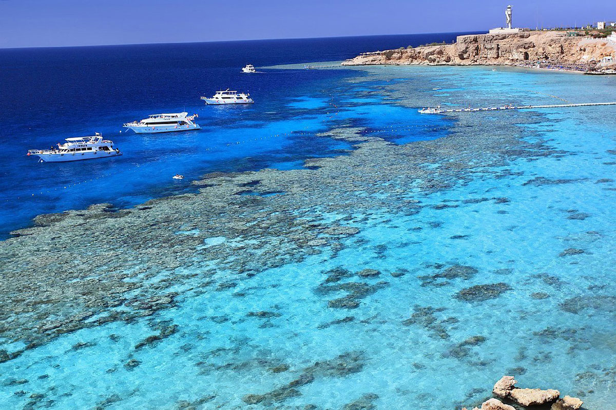 İstanbul Hareketli Thy İle Sharm El Sheikh Turu 7 Gece (286)