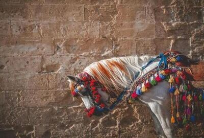 Antalya Hareketli Uçaklı Butik Mardin Süryani Köyleri Diyarbakır Turu