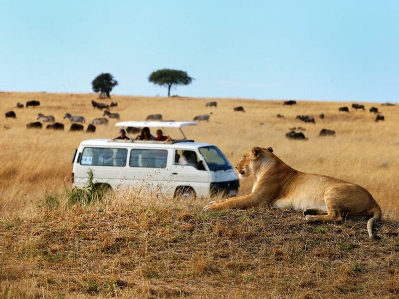 Kenya Safari Turu Air Arabia Havayolları ile Her Pazar Hareket