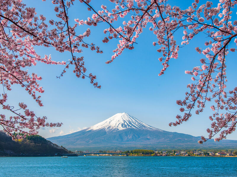 BÜYÜK JAPONYA 2025 (HND-HND)
