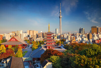 BÜYÜK JAPONYA 2025 (HND-HND)