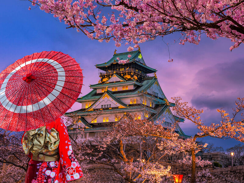 BÜYÜK JAPONYA 2025 (HND-HND)