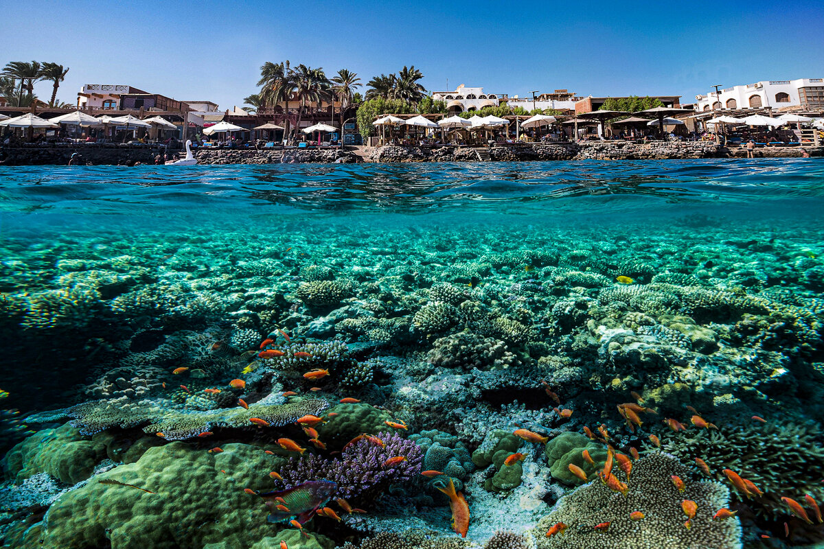 İstanbul Hareketli Ajet İle Sharm El Sheıkh Turu 3 Gece (328)