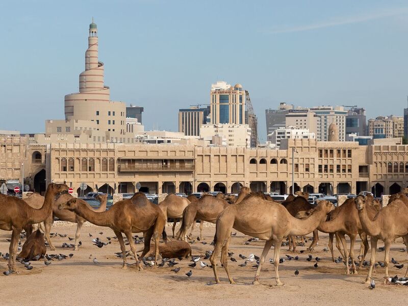 THY ile Çölün Gizemli Şehri Doha Şehir Turu Dahil 3 Gece (363)