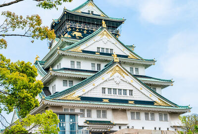 BÜYÜK JAPONYA 2025 (HND-HND)