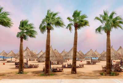 Promosyon Sharm El Sheikh Turu Ajet ile 3 Gece Transfer Saatine Kadar Otel Kullanımlı