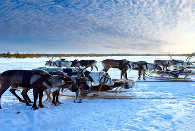İzmir Çıkışlı Sömestre ve Sevgililer Gününe Özel Lapland Turu Kuzey Işıkları Rotası (3 Gece)