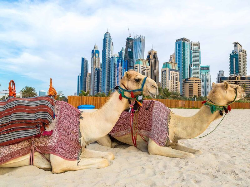 Ankara Hareketli FIRSAT DUBAİ TURU DUBAİ ŞEHİR TURU VE ABRA GEÇİŞİ DAHİL 2 GECE 3 GÜN Fly Dubai Havayolları ile