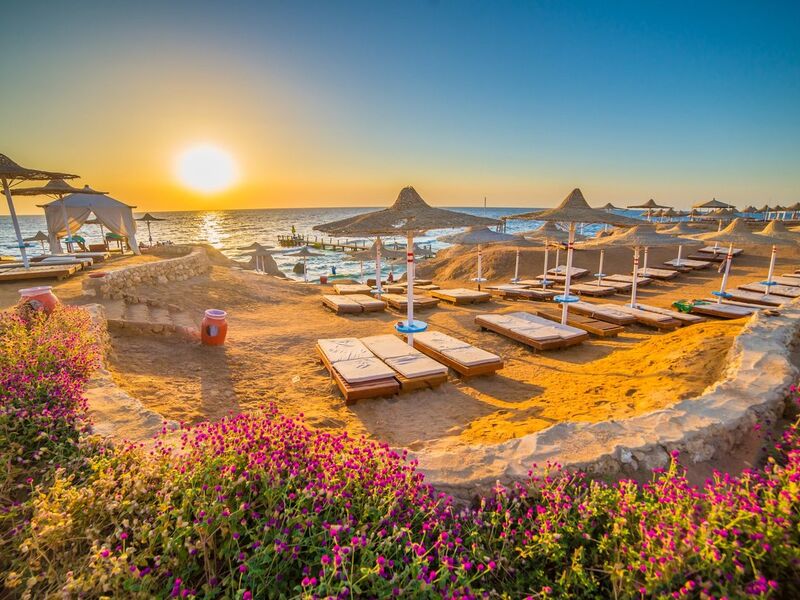  Thy İle Sharm El Sheıkh Turu 6 Gece (251)