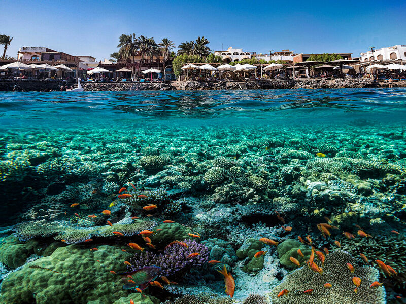 Pegasus İle İstanbul Kalkışlı  Sharm El Sheikh Turu 4 Gece (285)