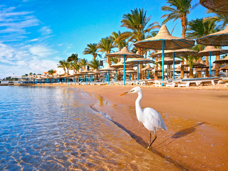 Promosyon İstanbul Hareketli Ajet İle Hurghada Turu 4 Gece (227)