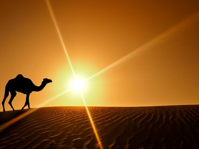 Ankara Hareketli FIRSAT DUBAİ TURU DUBAİ ŞEHİR TURU VE ABRA GEÇİŞİ DAHİL 3 GECE 4 GÜN Fly Dubai Havayolları ile	