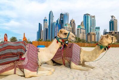 Ankara Hareketli FIRSAT DUBAİ TURU DUBAİ ŞEHİR TURU VE ABRA GEÇİŞİ DAHİL 2 GECE 3 GÜN Fly Dubai Havayolları ile
