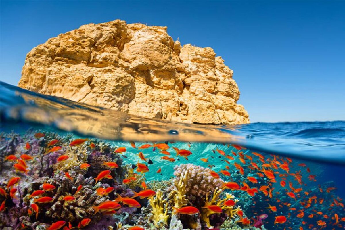Pegasus İle İstanbul Kalkışlı  Sharm El Sheikh Turu 4 Gece (285)