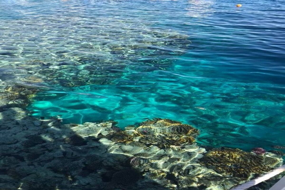 İstanbul Çıkışlı Thy İle Sharm El Sheıkh Turu 6 Gece (250)